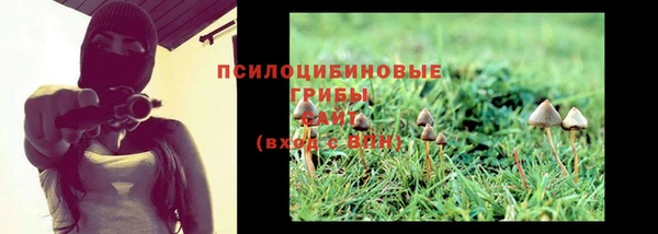 шишки Белоозёрский