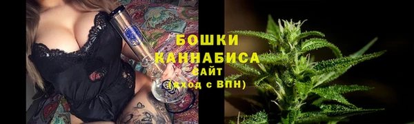 шишки Белоозёрский