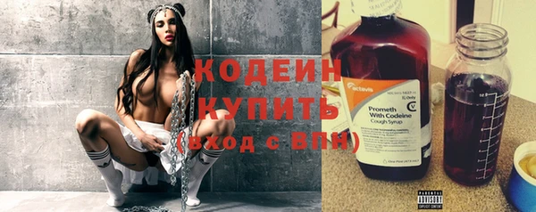 шишки Белоозёрский
