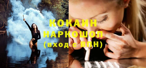 шишки Белоозёрский