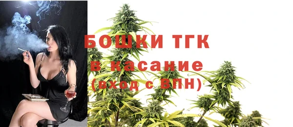 шишки Белоозёрский
