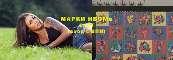 шишки Белоозёрский
