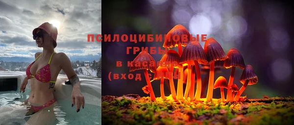 дживик Беломорск