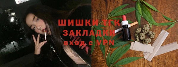 шишки Белоозёрский