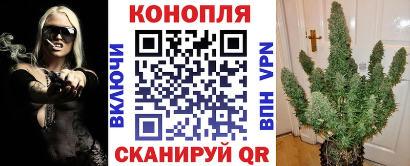 Каннабис OG Kush  закладка  Серов 